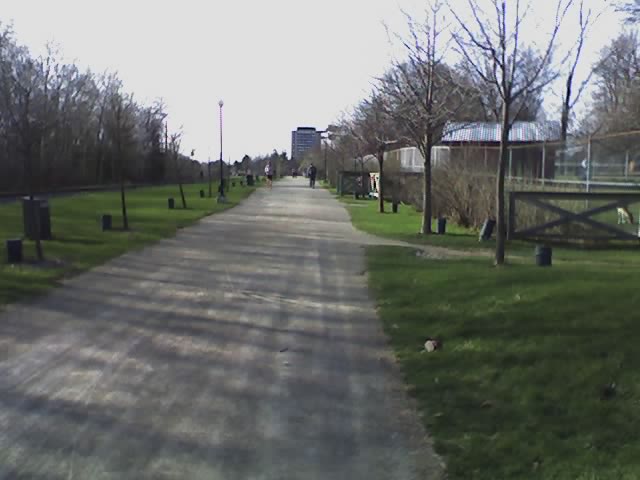 Path through Waterloo Park
